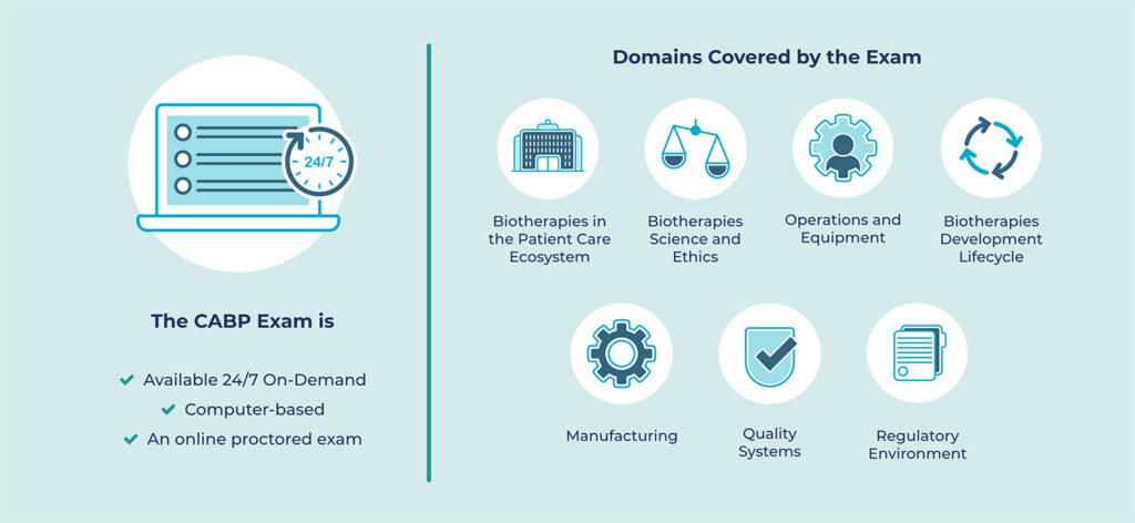 7 Key Domains Covered