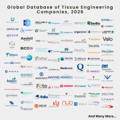 Global Database of Tissue Engineering Companies, 2026