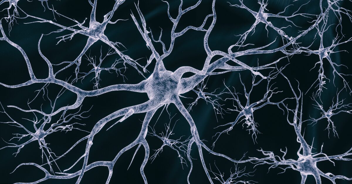 Neural Stem Cells