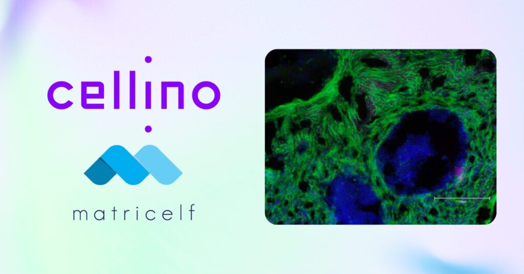 cellino-and-matricelf-announce-global-collaboration