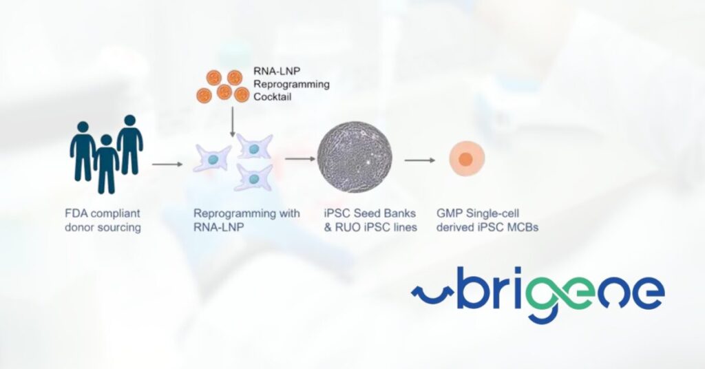 ubrigene-launches-clinical-ipsc-banks