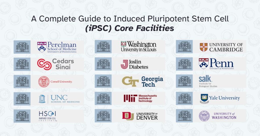 iPSC cord facilities