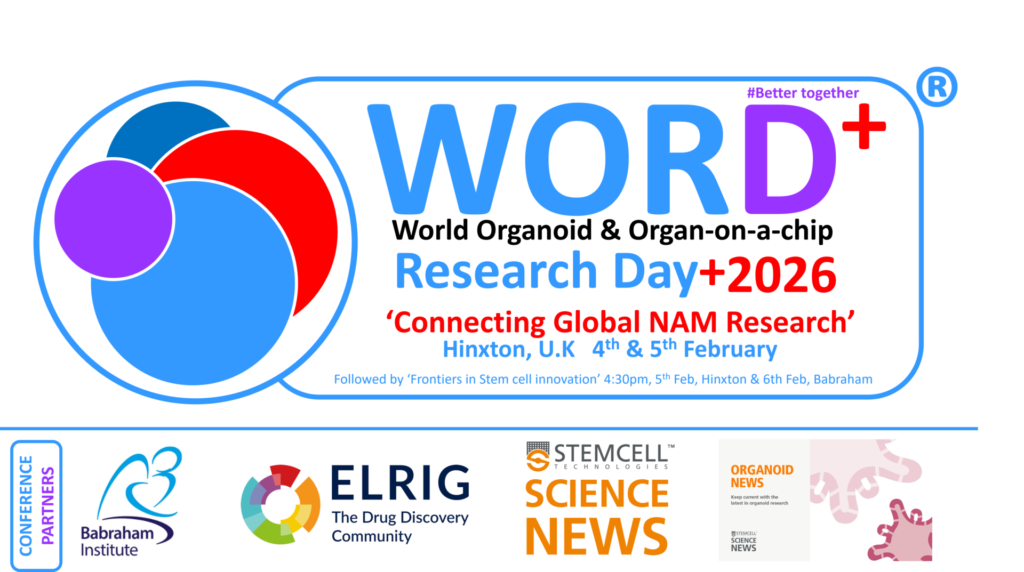 WORD2026