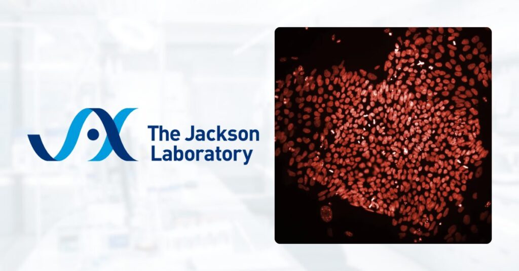the-jackson-laboratory-receives-an-up-to-30-million-contract-award