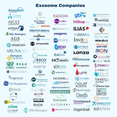 [RECENTLY UPDATED] Global Database of Exosome Companies, 2026