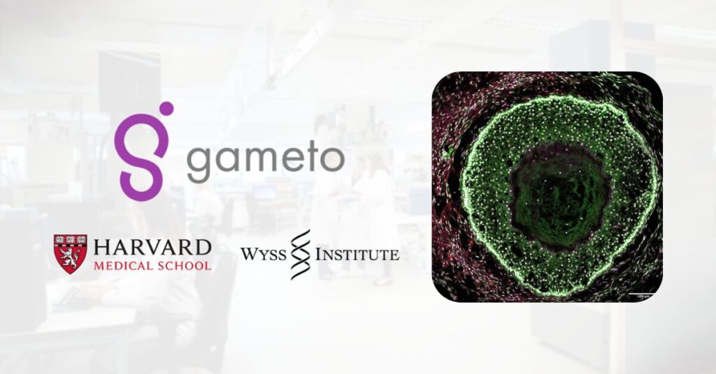 gameto-licenses-foundational-meiosis-ip-from-harvard