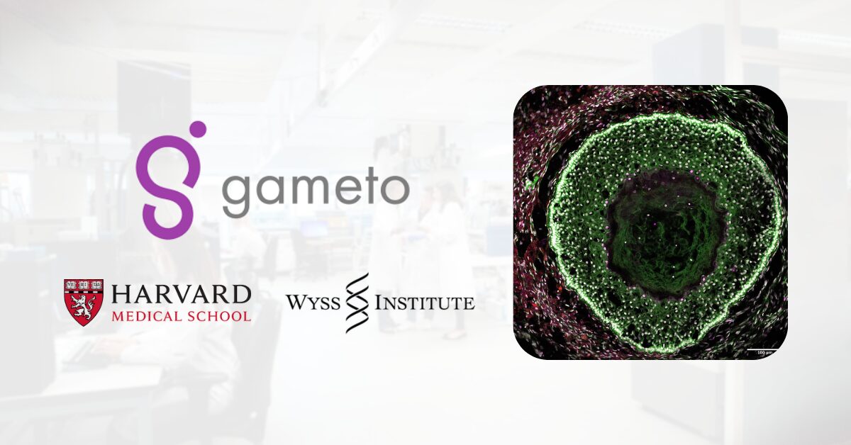 gameto-licenses-foundational-meiosis-ip-from-harvard