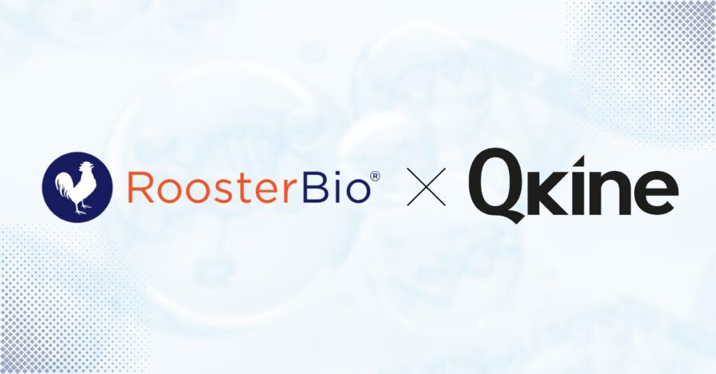 roosterbio-and-qkine-partner-deliver-single-source-platform