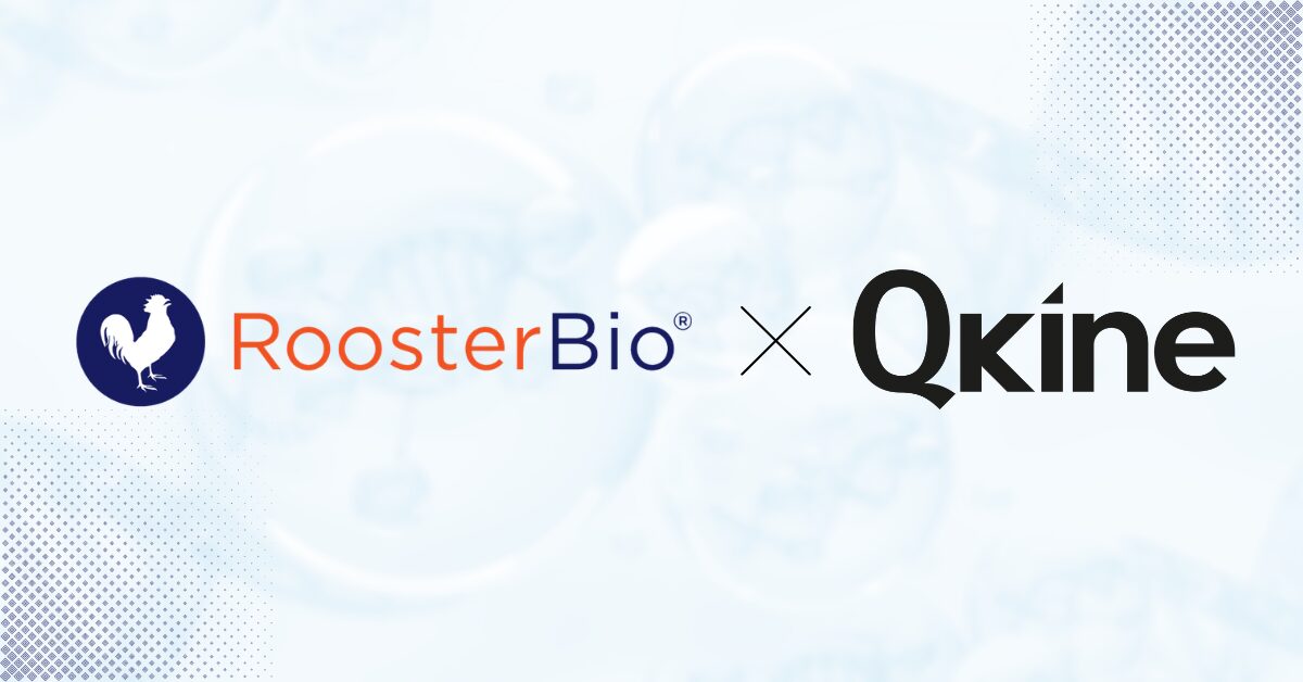 roosterbio-and-qkine-partner-deliver-single-source-platform