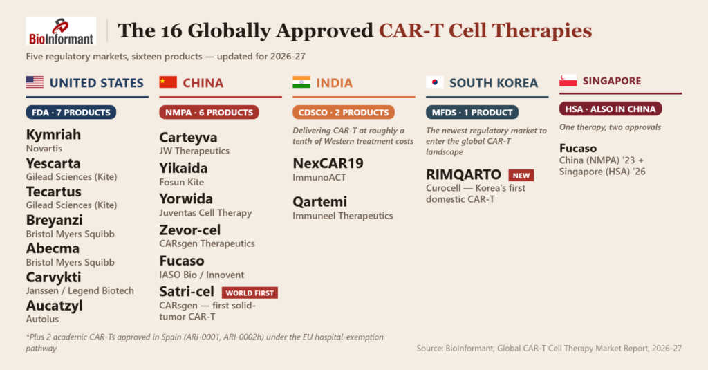 Globally Approved CAR-T Cell Therapies